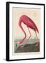 American Flamingo, 1838-John James Audubon-Framed Giclee Print