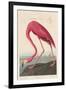 American Flamingo, 1838-John James Audubon-Framed Giclee Print