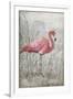 American Flamingo I-Tim O'toole-Framed Art Print