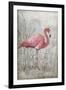 American Flamingo I-Tim O'toole-Framed Art Print