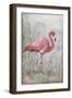 American Flamingo I-Tim O'toole-Framed Art Print