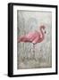 American Flamingo I-Tim O'toole-Framed Art Print