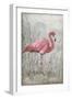 American Flamingo I-Tim O'toole-Framed Art Print