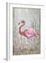 American Flamingo II-Tim O'toole-Framed Art Print