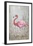 American Flamingo II-Tim O'toole-Framed Art Print