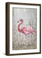 American Flamingo II-Tim O'toole-Framed Art Print