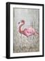 American Flamingo II-Tim O'toole-Framed Art Print