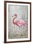 American Flamingo II-Tim O'toole-Framed Art Print