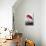 American Flamingo-John James Audubon-Stretched Canvas displayed on a wall