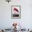 American Flamingo-John James Audubon-Framed Giclee Print displayed on a wall