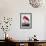 American Flamingo-John James Audubon-Framed Giclee Print displayed on a wall