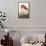 American Flamingo-John James Audubon-Framed Stretched Canvas displayed on a wall