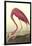 American Flamingo-John James Audubon-Framed Art Print