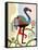American Flamingo-Lanre Adefioye-Framed Stretched Canvas