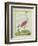 American Flamingo-Georges-Louis Buffon-Framed Giclee Print