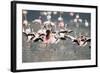 American Flamingoes-DLILLC-Framed Photographic Print