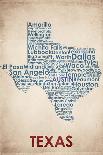 Texas-American Flat-Stretched Canvas