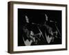 American Folk Musician Julie Felix Performing at the Forum Theatre, Hatfield, Hertfordshire, 1979-Denis Williams-Framed Photographic Print