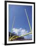 American Fooball Flying Through the Goalposts-null-Framed Photographic Print