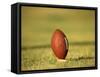 American Fooball-null-Framed Stretched Canvas