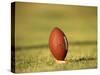 American Fooball-null-Stretched Canvas