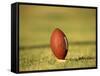 American Fooball-null-Framed Stretched Canvas