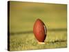 American Fooball-null-Stretched Canvas