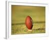 American Fooball-null-Framed Photographic Print