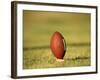 American Fooball-null-Framed Photographic Print