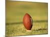 American Fooball-null-Mounted Photographic Print