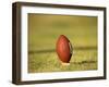 American Fooball-null-Framed Photographic Print