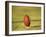 American Fooball-null-Framed Photographic Print