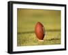 American Fooball-null-Framed Photographic Print