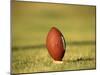 American Fooball-null-Mounted Photographic Print