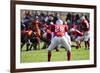 American Football Game with out of Focus Players in the Background-melis-Framed Photographic Print