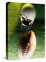 American Football Helmet and a Football-null-Stretched Canvas