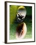 American Football Helmet and a Football-null-Framed Photographic Print