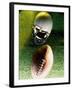 American Football Helmet and a Football-null-Framed Photographic Print