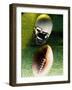 American Football Helmet and a Football-null-Framed Photographic Print