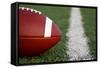 American Football near the Yard Line-33ft-Framed Stretched Canvas