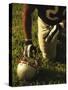 American Football Player Kneeling on the Field-null-Stretched Canvas