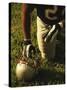 American Football Player Kneeling on the Field-null-Stretched Canvas