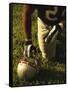 American Football Player Kneeling on the Field-null-Framed Stretched Canvas