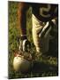 American Football Player Kneeling on the Field-null-Mounted Photographic Print
