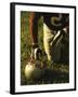 American Football Player Kneeling on the Field-null-Framed Photographic Print