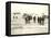 American Forces Landing at Arzew, Algeria During Operation Torch-null-Framed Stretched Canvas