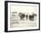 American Forces Landing at Arzew, Algeria During Operation Torch-null-Framed Photographic Print