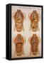 American Frohse Anatomical Wallcharts, Plate 2-null-Framed Stretched Canvas