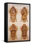 American Frohse Anatomical Wallcharts, Plate 2-null-Framed Stretched Canvas