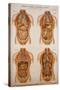 American Frohse Anatomical Wallcharts, Plate 2-null-Stretched Canvas